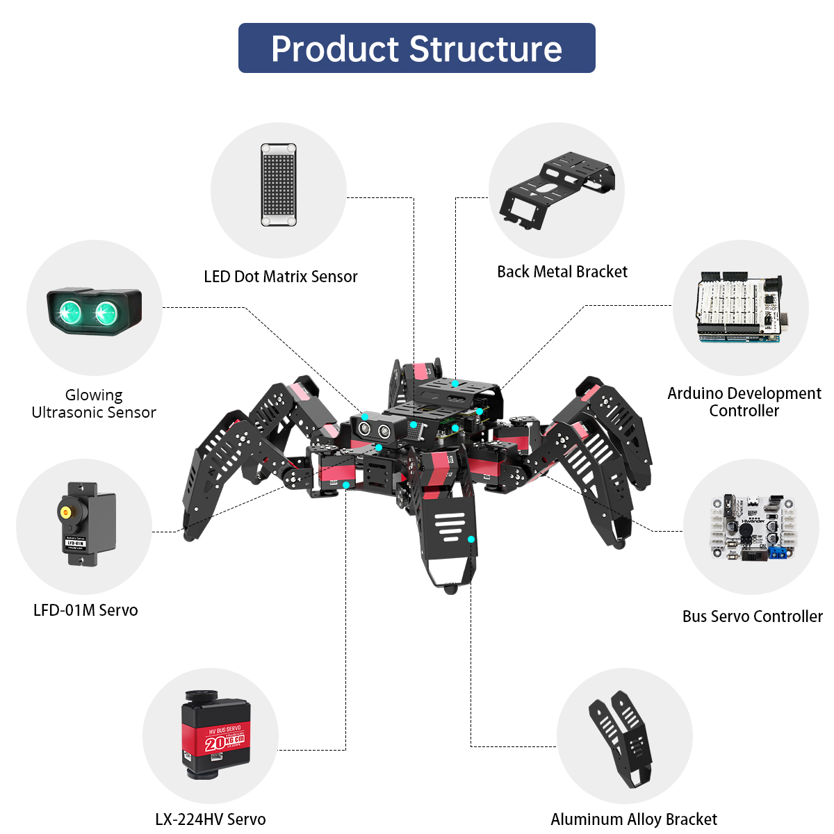 Hiwonder Spiderbot Programlana - Robot Kit incelemesi ve fiyatı